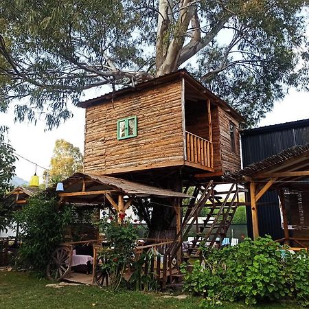 ギョジェク Daidala Life Bed & Breakfast エクステリア 写真